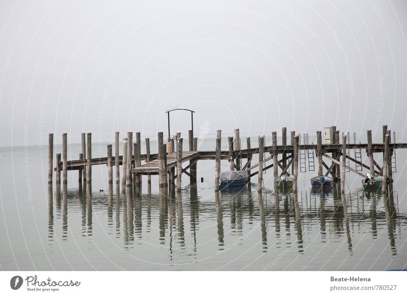 AST 7 | In Warteposition Natur Luft Wasser Himmel Wetter Küste Seeufer Bodensee Allensbach Verkehrswege Brücke Schifffahrt Bootsfahrt Hafen schaukeln warten