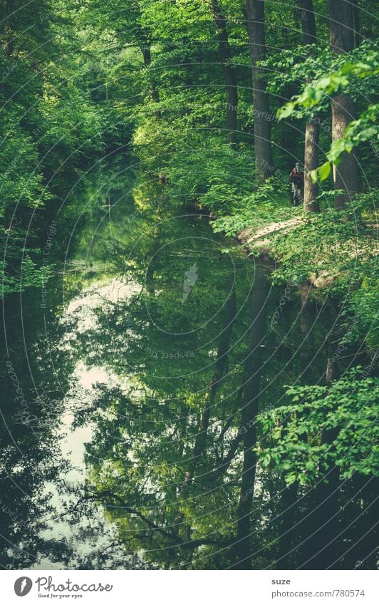 Offener Kanal harmonisch Freizeit & Hobby Umwelt Natur Landschaft Pflanze Wasser Klima Baum Park Flussufer Teich See Oase Wachstum nachhaltig grün Stimmung