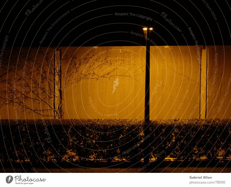 Die Schallschutzwand Schallschutzmauer Beton Hecke Straßenbeleuchtung Licht Nacht Sträucher Mauer Wand dunkel Nachtaufnahme Langzeitbelichtung blätterlos orange