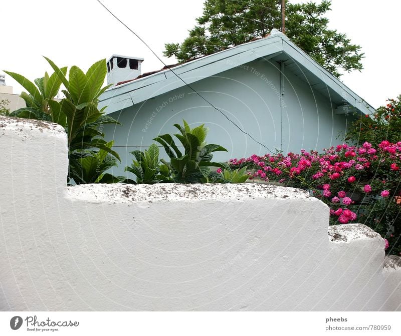 bilderbuchhaus Haus Dach Wand Häusliches Leben mint hell-blau Pastellton Blume Straße Mauer hinten Schornstein Backstein alt Hütte Dorf dörflich