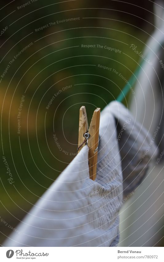 holz halt Klammer authentisch frisch Wäsche Wäscheleine Wäscheklammern trocknen hängen Bettwäsche Holz Bambus Falte grün Garten Haushaltsführung sommerlich