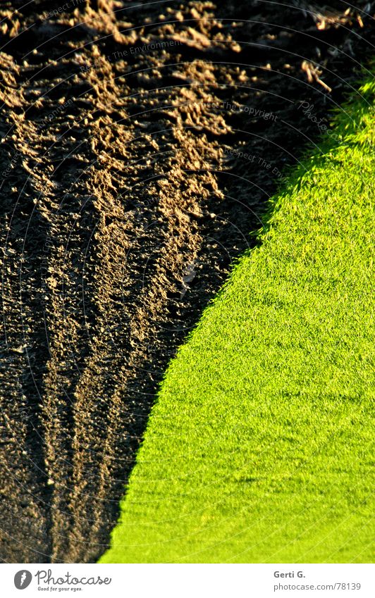 mother earth meets meadow Feld Erde Furche Pflug pflügen Streifen braun dreckig Sauberkeit schmal saftig Gras Wiese grün grasgrün Geschwindigkeit berühren