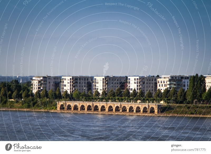 bodenständig | aber nah am Wasser gebaut Umwelt Wolkenloser Himmel Sonnenlicht Sommer Schönes Wetter Flussufer Köln Stadt Hafenstadt Skyline Haus Hochhaus