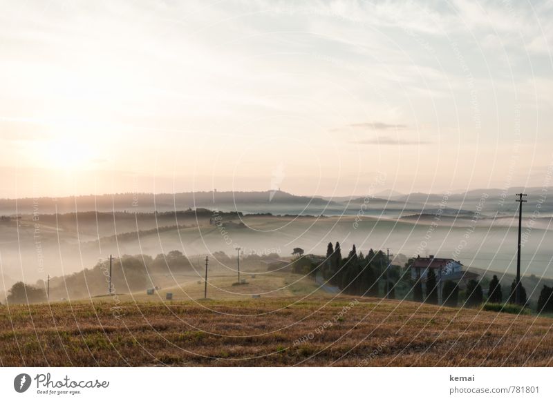 Morgennebel Ferien & Urlaub & Reisen Tourismus Abenteuer Ferne Freiheit Umwelt Natur Landschaft Himmel Wolken Sonnenaufgang Sonnenuntergang Sonnenlicht Sommer