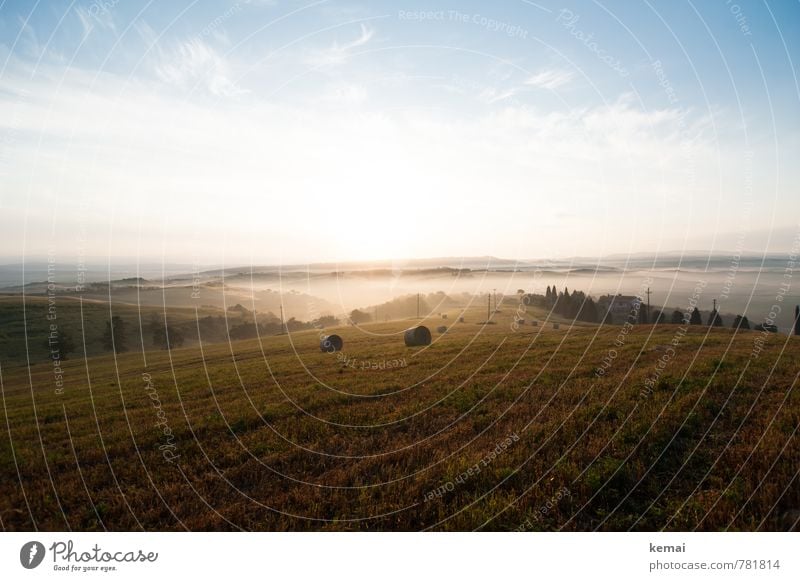 Frühnebel Umwelt Natur Landschaft Luft Himmel Wolken Sonnenaufgang Sonnenuntergang Sonnenlicht Sommer Schönes Wetter Nebel Baum Grünpflanze Nutzpflanze Zypresse