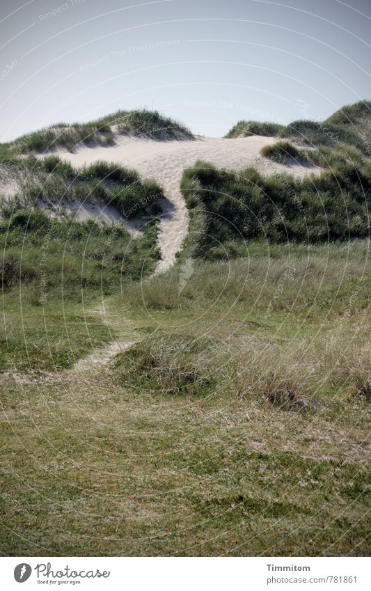 Bergtour. Ferien & Urlaub & Reisen Umwelt Natur Sommer Pflanze Dünengras Küste Nordsee einfach natürlich grün Gefühle ästhetisch Genauigkeit ruhig Fußweg