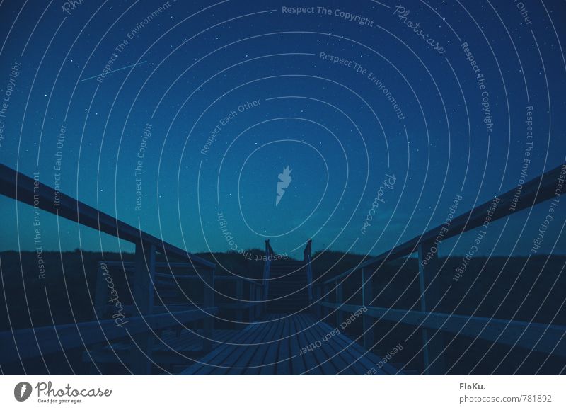 sehr blaue Stunde Ausflug Abenteuer Umwelt Natur Landschaft Urelemente Himmel Wolkenloser Himmel Nachthimmel Stern Küste Strand Nordsee Fußgänger Wege & Pfade