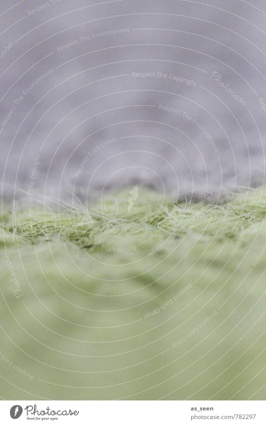 Auf dem Teppich bleiben ruhig Meditation Häusliches Leben Wohnung einrichten Innenarchitektur Teppichknüpfer Stoff liegen fest hell grün violett ästhetisch