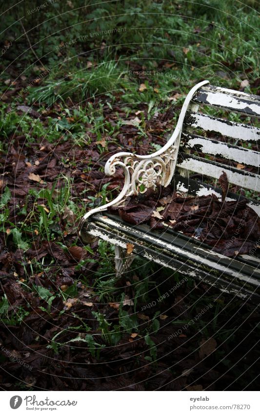 Perfect day for a suicide ? Herbst Winter grün mehrfarbig weiß Parkbank Blatt Hoffnung Pflanze Baum Sträucher dunkel Einsamkeit ruhig töten Mörder verrückt