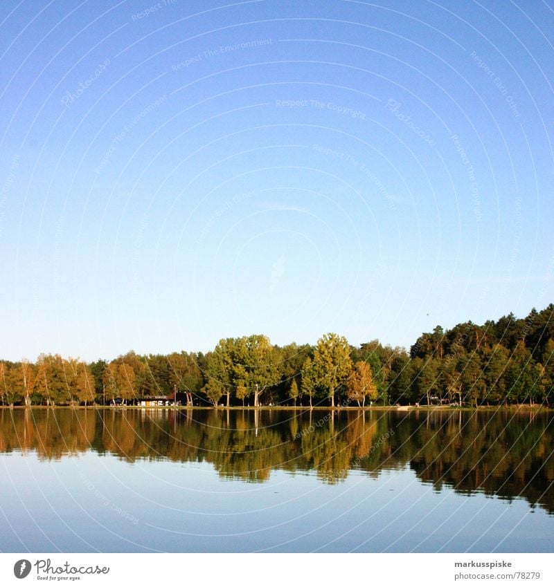 reflexion Baum Holz Wiese Idylle See Wald Reflexion & Spiegelung Himmel Sonne blau Ast Baumstamm Natur Schönes Wetter