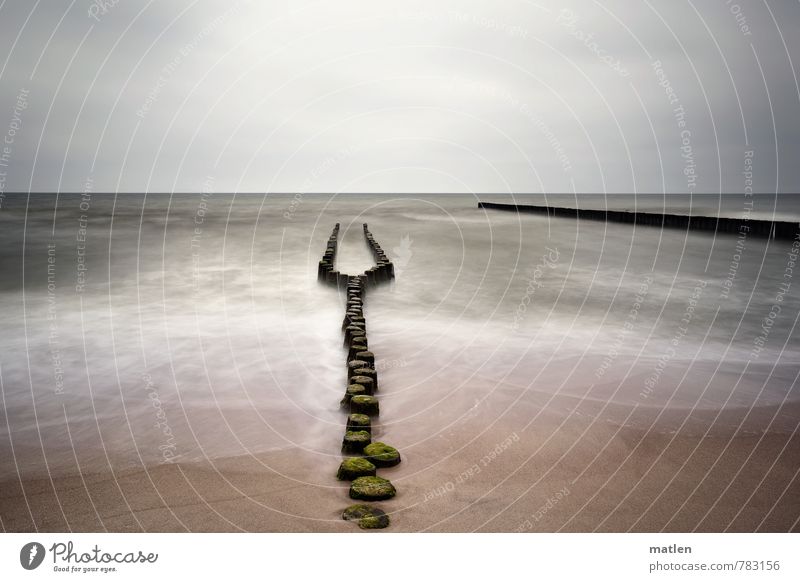 Wahlverwandschaften I Landschaft Sand Luft Wasser Himmel Wolken Horizont Frühling Wetter schlechtes Wetter Wellen Küste Strand Ostsee braun grau grün