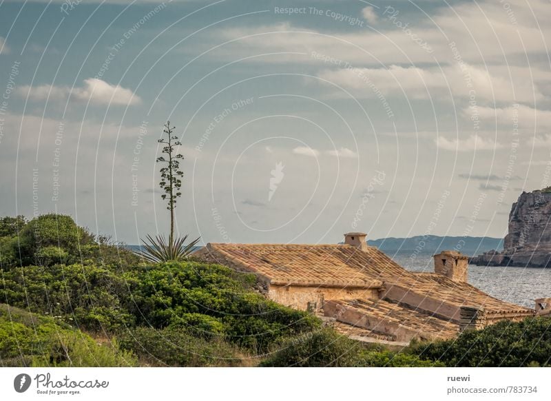 Und am Ende der Straße steht ein Haus am See Ferien & Urlaub & Reisen Tourismus Abenteuer Ferne Sommer Sommerurlaub Meer Umwelt Natur Landschaft Wasser Himmel