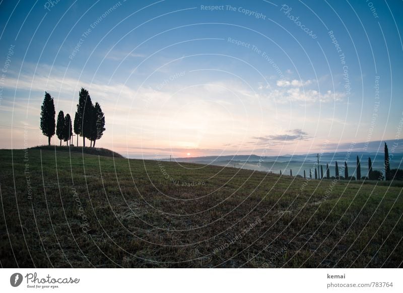 Traumhafte Landschaft Umwelt Natur Himmel nur Himmel Sonne Sonnenaufgang Sonnenuntergang Sonnenlicht Sommer Schönes Wetter Baum Zypresse Wiese Hügel Toskana