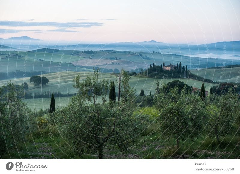 Toskanischer Morgen Ferien & Urlaub & Reisen Tourismus Ausflug Ferne Freiheit Toskana Italien Umwelt Natur Landschaft Pflanze Himmel Wolken Sommer Nebel Baum