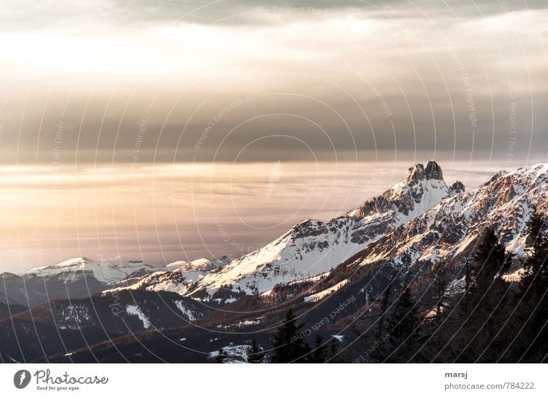 Bischofsmütze im letzten Tageslicht Ferien & Urlaub & Reisen Klettern Bergsteigen Natur Landschaft Himmel Wolken Winter Wetter Eis Frost Schnee Felsen Alpen