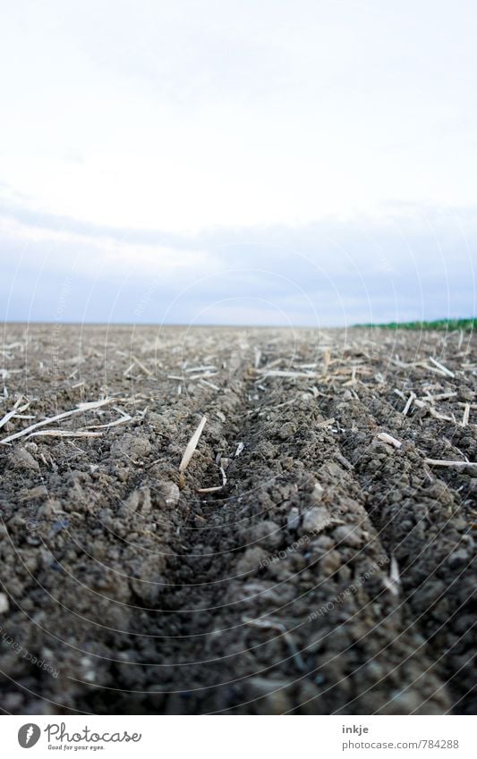 Acker Landwirtschaft Forstwirtschaft Umwelt Natur Landschaft Erde Himmel Horizont Frühling Sommer Schönes Wetter Feld Menschenleer frisch braun Ackerbau