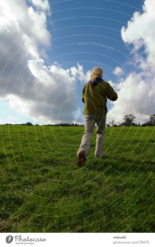 Fotospaß 1 Außenaufnahme Licht Weitwinkel Freude Freiheit Sommer Mensch Mann Erwachsene Kunst Umwelt Natur Landschaft Pflanze Himmel Wolken Baum Gras Wiese