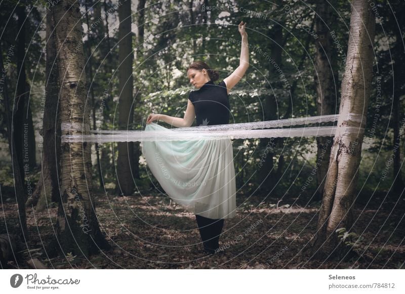 dance Haut Mensch feminin Frau Erwachsene 1 18-30 Jahre Jugendliche Tanzen Tänzer Umwelt Natur Frühling Sommer Schönes Wetter Pflanze Baum Birke Wald Rock