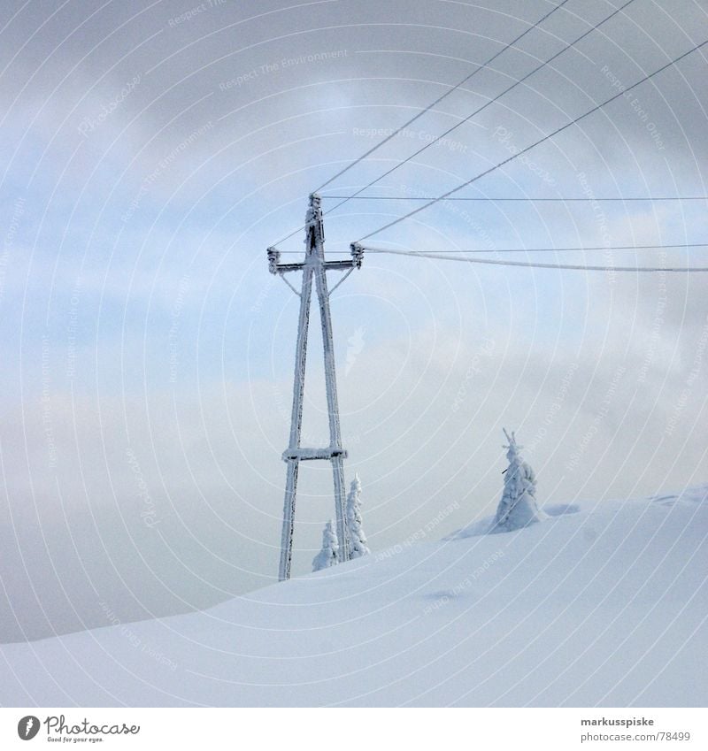 schnee strom kalt unberührt Tanne Schnee alpin Winter Elektrizität Holz Wolken Eis Alpen mädchenhaft hochalpin Strommast Leitung Himmel