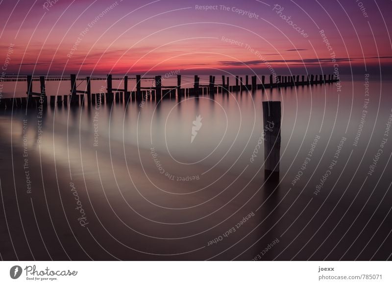 Außenseiter Strand Meer Wasser Himmel Sonnenaufgang Sonnenuntergang Schönes Wetter Küste Ostsee schön violett orange rot schwarz ruhig Horizont Idylle