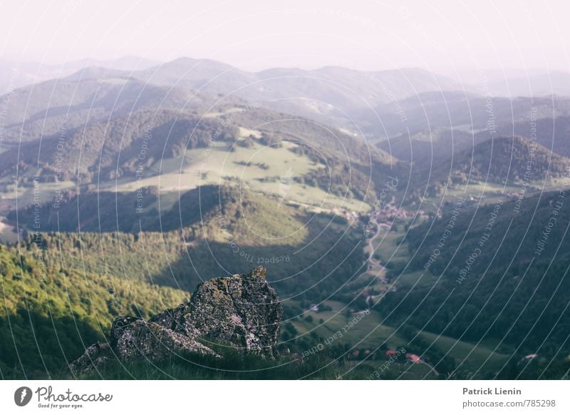 Kleines Wiesental harmonisch Wohlgefühl Zufriedenheit Sinnesorgane Erholung ruhig Umwelt Natur Landschaft Urelemente Luft Himmel Schönes Wetter Pflanze Baum