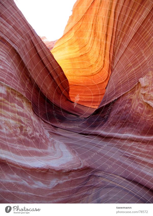 The Wave I Leben ruhig Sonne Wellen Berge u. Gebirge Wärme Schlucht Fluss Wege & Pfade Stein Linie gelb orange rot Farbe Old Paria Sandstein fließen mystisch