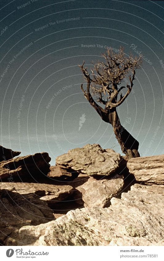 high noon Texas Western Geröll Stein Erosion USA Ödland Amerika Dürre Utah welk Wüste verfallen geröllblock vertrocknet Bruchstück getrocknet Blauer Himmel blau