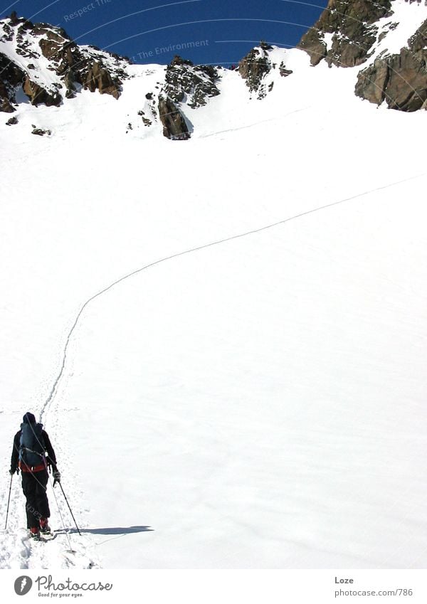 le tour 03 #02 Bergkamm Bergführer Berge u. Gebirge Schnee Alpen aufwärts wegweisend Fußweg Spuren steil Skitour vorwärts 1 Schneelandschaft Wintertag