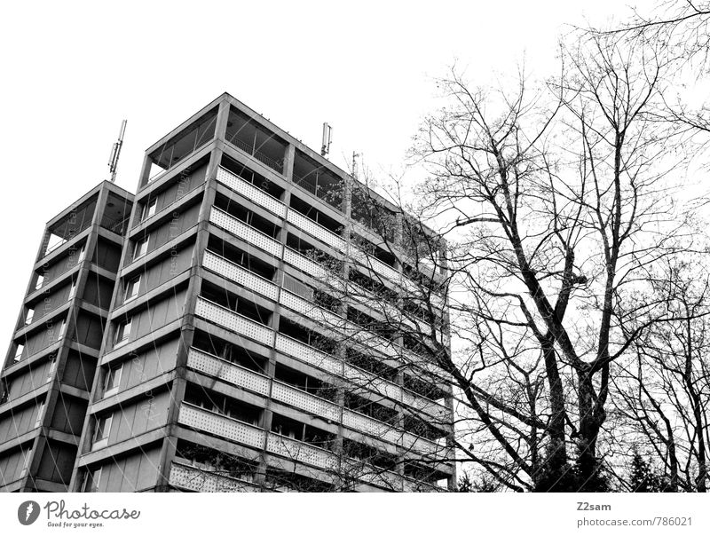 Wie in alten Zeiten Baum Sträucher Stadt Stadtzentrum bevölkert Hochhaus Gebäude Architektur dunkel eckig kalt Endzeitstimmung Gesellschaft (Soziologie) gleich