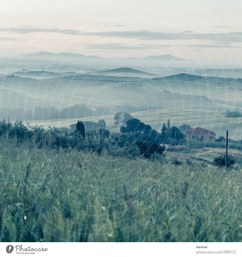 While the earth sleeps Umwelt Natur Landschaft Himmel Wolken Horizont Sommer Schönes Wetter Nebel Gras Sträucher Wiese Hügel Toskana Italien Haus frisch grün