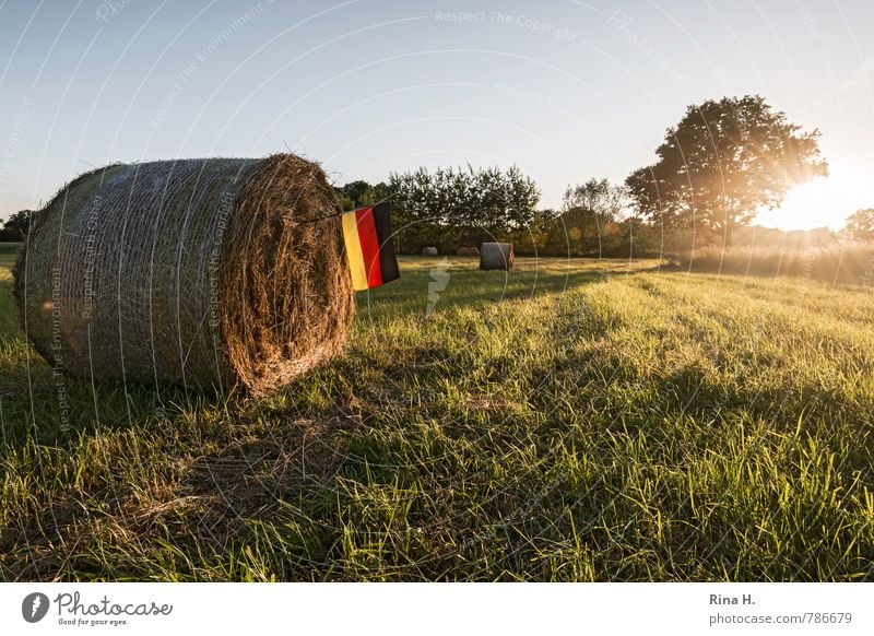 Schland Sommer Landwirtschaft Forstwirtschaft Natur Himmel Feld Fahne leuchten Gefühle Optimismus Hoffnung Identität Idylle Deutsche Flagge Heuballen Ernte