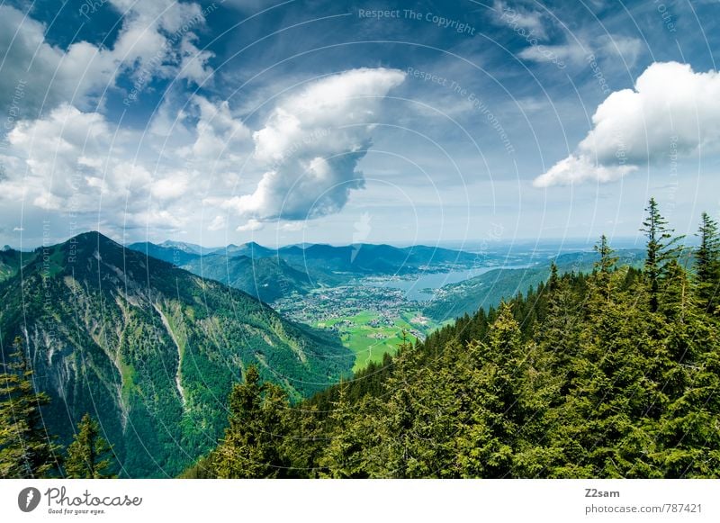 Tegernsee Ferien & Urlaub & Reisen Ausflug wandern Klettern Bergsteigen Umwelt Natur Landschaft Himmel Wolken Sommer Schönes Wetter Baum Wald Alpen