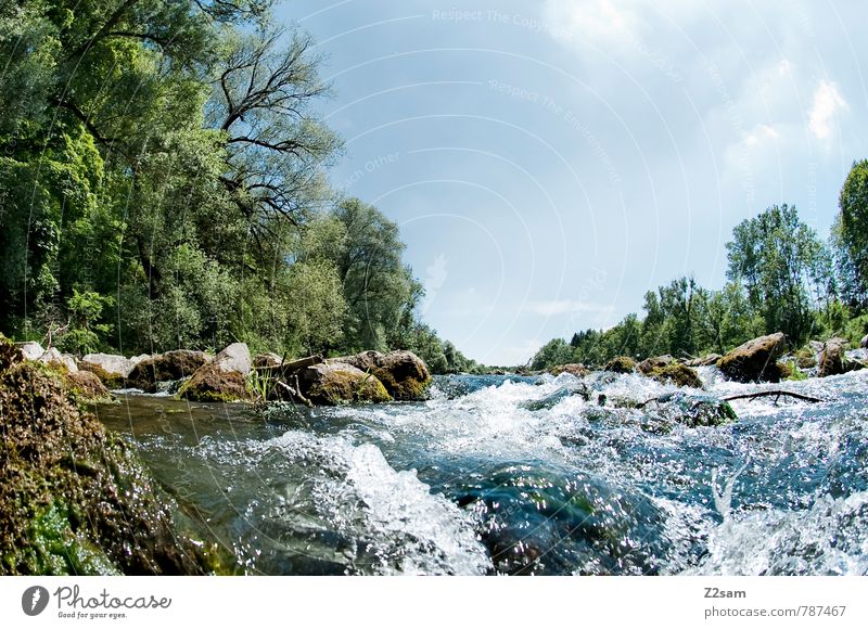 ISAR "die Reissende" Natur Landschaft Himmel Wolken Sommer Schönes Wetter Baum Sträucher Flussufer frisch kalt blau grün Abenteuer Einsamkeit Erholung