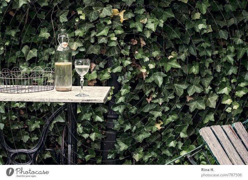 HalbVoll Getränk Wein Glas Garten Gefühle Traurigkeit Einsamkeit Hemmungslosigkeit Alkoholsucht Frustration Stillleben Gartenstuhl umgefallen Flasche Korb Efeu