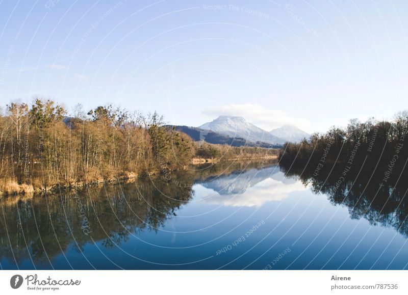 Der Inn Landschaft Urelemente Wasser Himmel Wolken Winter Schönes Wetter Schnee Alpen Schneebedeckte Gipfel Flussufer blau gold weiß einzigartig Farbe Horizont