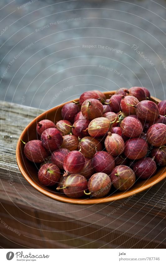 stachelbeeren Lebensmittel Frucht Stachelbeeren Ernährung Bioprodukte Vegetarische Ernährung Schalen & Schüsseln frisch Gesundheit lecker natürlich