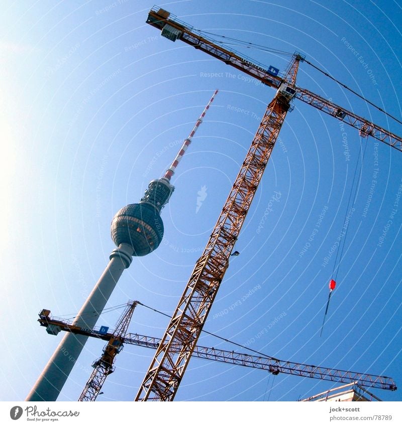 Berliner Fernsehturm und Krantypen Arbeit & Erwerbstätigkeit Baustelle Wolkenloser Himmel Hauptstadt Bauwerk Architektur Sehenswürdigkeit Wahrzeichen hoch