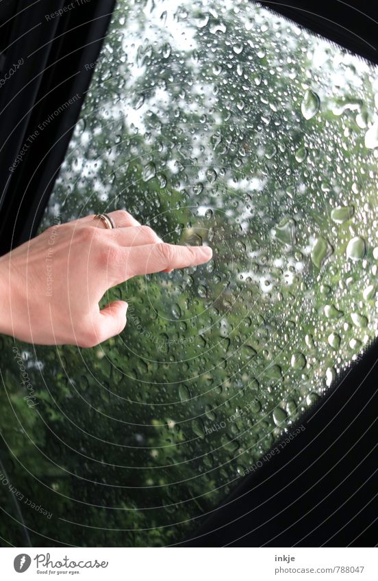 Sommerregen Hand Wassertropfen Frühling Klima Wetter schlechtes Wetter Regen Park Wald Fenster Verkehr Verkehrsmittel PKW Autodach beobachten berühren nass