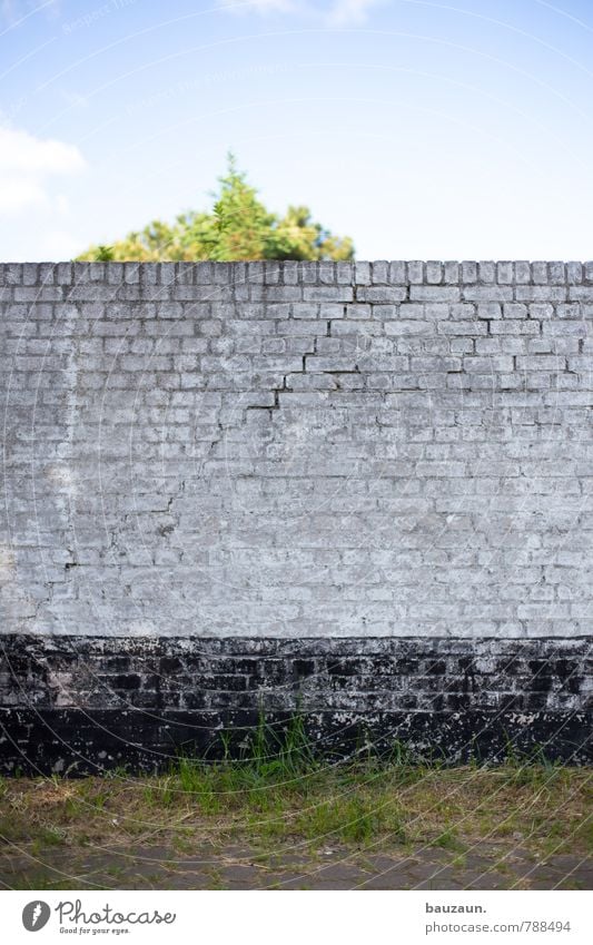 HH-Peute | vor die wand laufen. Hausbau Handwerker Baustelle Himmel Wolkenloser Himmel Sonne Sommer Schönes Wetter Pflanze Baum Gras Garten Park Wiese Mauer