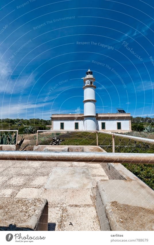 Cabo de ses Salines Himmel Sommer Wärme stehen Leuchtturm Sicherheit Turm Gebäude Geländer weiß blau vertikal hoch Ferne Pinie mediterran Mallorca