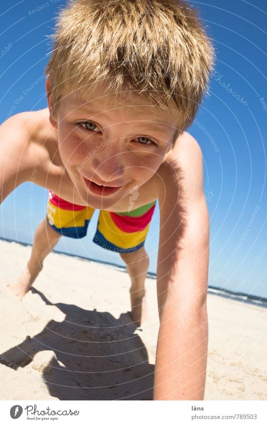 fröhlicher Junge am Strand Zufriedenheit Freizeit & Hobby Spielen Ferien & Urlaub & Reisen Sommer Sommerurlaub Meer Kind Kindheit Leben Kopf Arme 1 Mensch