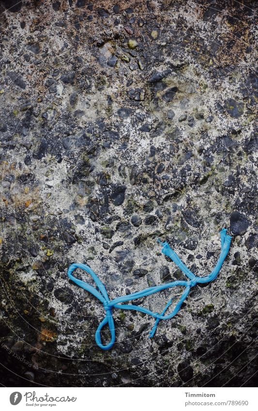 Hanglage. Dänemark Seil Mole Beton liegen ästhetisch einfach blau grau Gefühle Stress Am Rand Farbfoto Außenaufnahme Menschenleer Tag