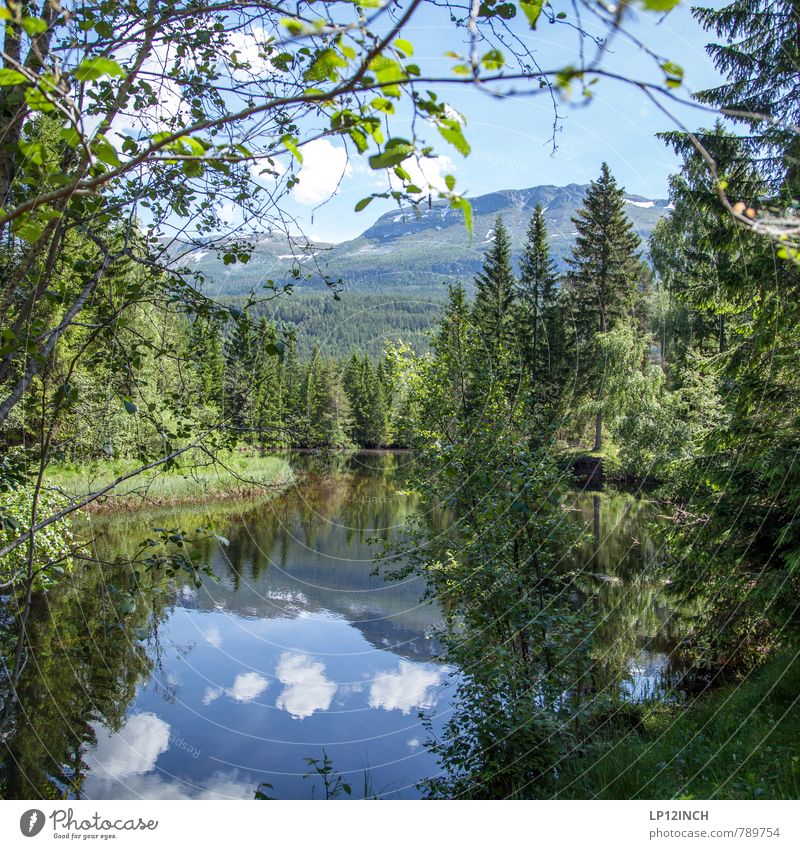 N O R W A Y - Märchen - XVIII Ferien & Urlaub & Reisen Tourismus Ausflug Expedition Berge u. Gebirge wandern Natur Landschaft Pflanze Tier Wasser Himmel Wolken