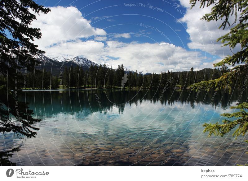 Lac Beauvert Natur Landschaft Pflanze Wasser Himmel Sommer Schönes Wetter Wald Schneebedeckte Gipfel See Stimmung schön ruhig Erholung Ferien & Urlaub & Reisen