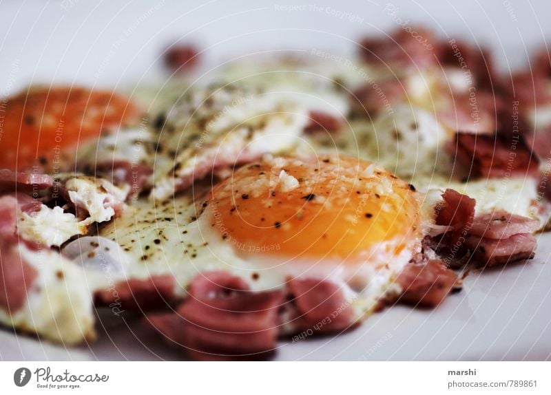 EiSpeckEi Lebensmittel Ernährung Essen Frühstück heiß orange Spiegelei Kräuter & Gewürze Appetit & Hunger Snack Farbfoto Nahaufnahme Detailaufnahme