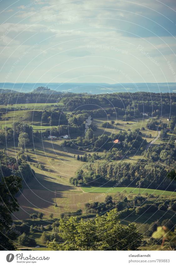 Grünes Land Umwelt Natur Landschaft Himmel Wolken Sommer Schönes Wetter Baum Wiese Feld Wald Hügel schön grün Südbaden Deutschland Ferne Farbfoto Außenaufnahme