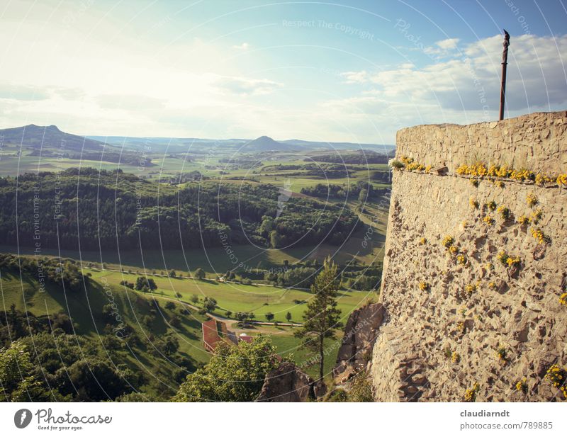 Mauerblümchen Umwelt Natur Landschaft Himmel Wolken Sommer Schönes Wetter Blume Wiese Feld Wald Hügel Burg oder Schloss Ruine Wand schön Freiheit Ferne Aussicht