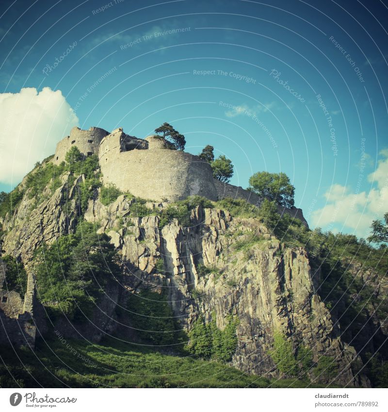 Hohentwiel Landschaft Himmel Wolken Sommer Schönes Wetter Baum Felsen Burg oder Schloss Ruine Bauwerk Architektur Mauer Wand Sehenswürdigkeit alt historisch