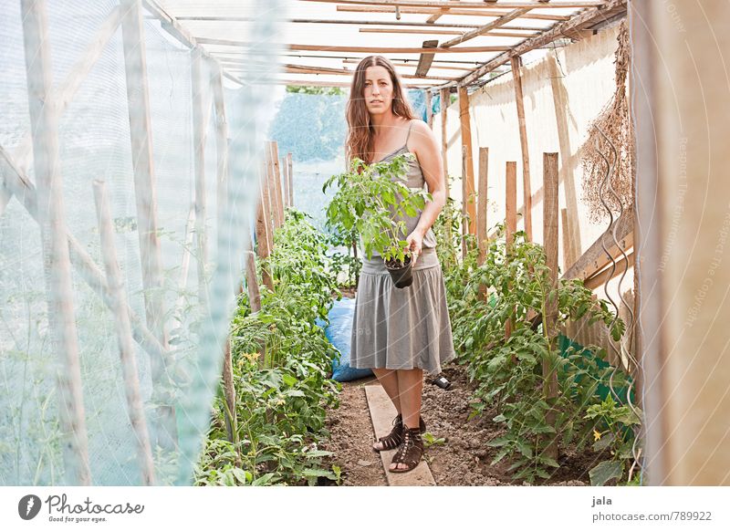 tomatenhaus Arbeit & Erwerbstätigkeit Gartenarbeit Landwirtschaft Forstwirtschaft Mensch feminin Frau Erwachsene 1 30-45 Jahre Umwelt Natur Pflanze Sommer