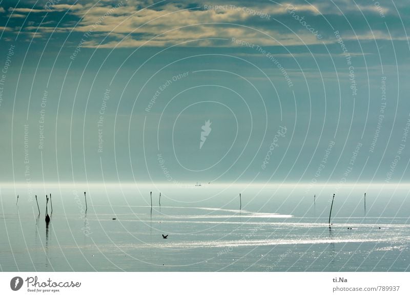 einatmen, ausatmen und die Ruhe genießen Natur Landschaft Urelemente Wasser Schönes Wetter Wellen Küste Bucht Nordsee Schleswig-Holstein Dithmarschen beobachten